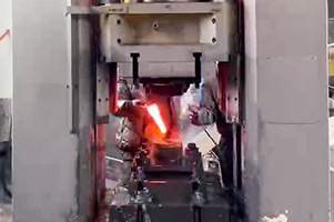 伺服螺旋壓力機(jī) 伺服螺旋壓力機(jī)